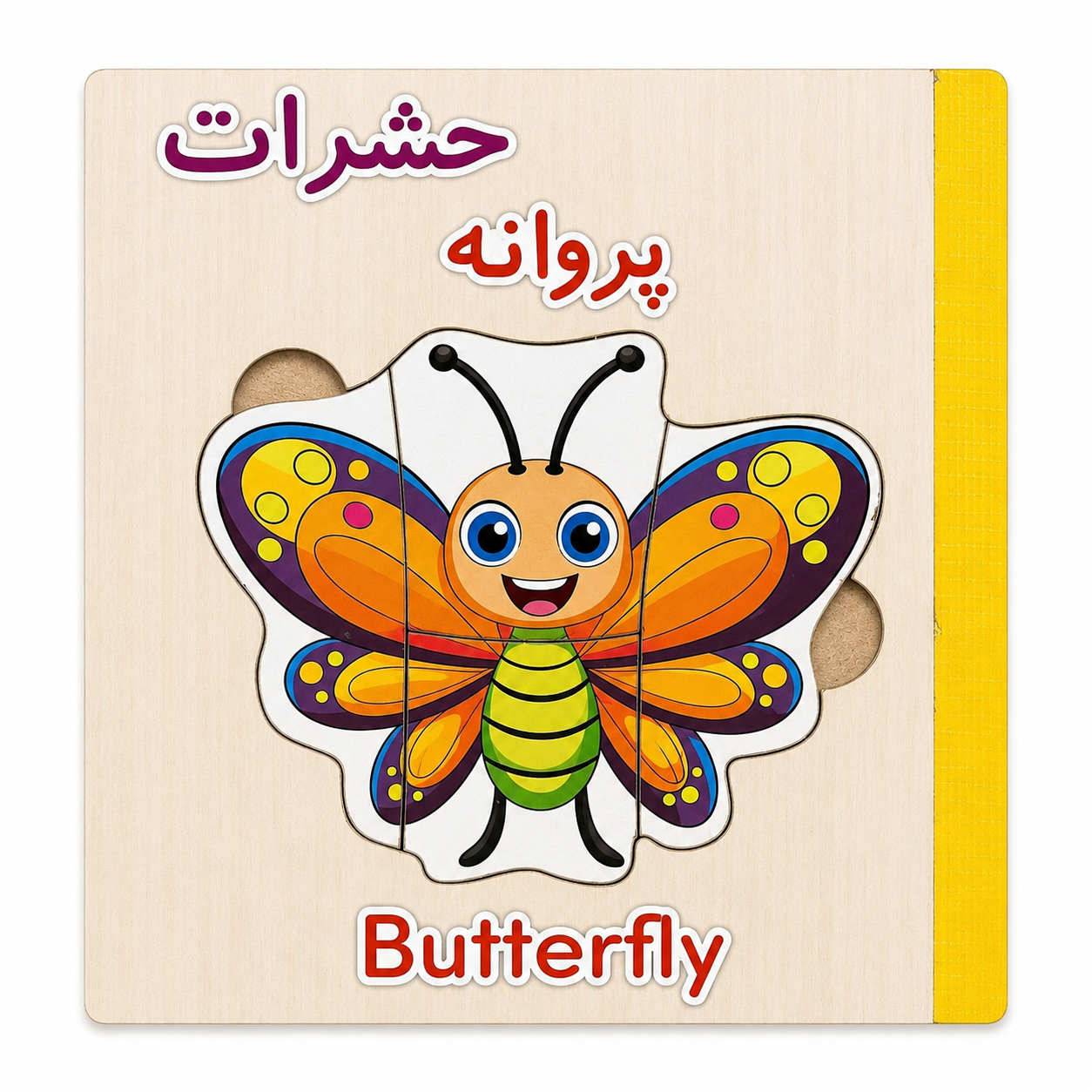 کتاب پازل چوبی آموزش حشرات